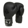 B-2v12 6 OZ BOXERSKÉ RUKAVICEDBX BUSHIDO