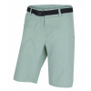 Dámske šortky Husky Kiani L light green XL