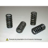 BARNE SPRINGS CLUTCH
