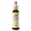 Dr. Bach Esence Hornbeam 20ml