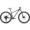 Horský bicykel Specialized Rockhopper Comp 29 fialová 29