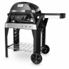 WEBER WEBER PULSE 2000 STAND 5-ročná záruka