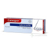 Canespor sada na nechty ung.der.1 x 10 g