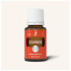 Young living Esenciálny olej Cédrove drevo cedarwood 15 ml