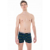 Pánske boxerky John Frank JFBBP610
