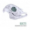 Kolektivní halucinace - Kosti / Digipack [CD]