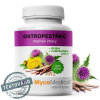 MYCOMEDICA Ostropestřec Vegan 90 kapslí
