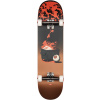 Globe - G2 On the Brink Dumpster Fire 8,25