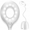 Klips Flint 3093 Rabalux Lamp (Klips Flint 3093 Rabalux Lamp)