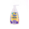 Prírodné penové mydlo na ruky Natural 350 ml