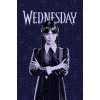 JERRY FABRICS Fleece deka Wednesday