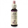 Dr. Bach Esence Impatiens 20 ml
