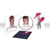 LP David Bowie: Aladdin Sane PIC | LTD