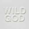 Nick Cave & The Bad Seeds - Wild God (CD)