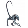 Akčná figúrka, postavička - NECA ALIEN V. Predator AVP Game edition budem (Akčná figúrka, postavička - NECA ALIEN V. Predator AVP Game edition budem)