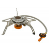Cattara Spider