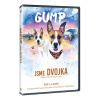 Gump - Jsme dvojka (DVD)