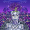 2LP Erykah Badu: New Amerykah Part Two: Return Of The Ankh LTD | CLR