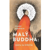 Malý Buddha: Cesta za štěstím - Claus Mikosch