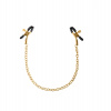 Svorky na bradavky Pipedream Fetisch Fantasy Chain Nipple Clamps