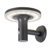 Rabalux ALASKA LED solarná lampa 77017