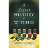 A Secret History of Witches - Louisa Morgan