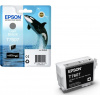 Epson T7607 Ink Cartridge Light Black C13T76074010