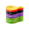 Guma posilňovacia REBEL Active Power Band PTs-1 4-55kg 5ks