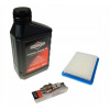 Olej do kosačky - Filter Filter Set Filter Briggs Quantum 625 650675 (Filter Filter Set Filter Briggs Quantum 625 650675)