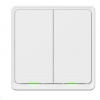 Tesla Smart Switch Dual Battery
