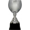 Victoria Sport Cup Metal Silver