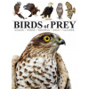 BIRDS OF PREY