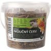 UGF sušený múčny červ 500 ml