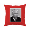 Vankúš Husák