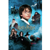 Plagát, Obraz - Harry Potter - Kameň mudrcov, 26.7 × 40 cm