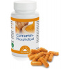 DrJacobsMedical Curcumin Phospholipid - 620mg 60 kapsúl