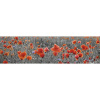 Samolepiace PVC tapeta do kuchyne mySPOTTI splash Vlčí máky 60x220 cm