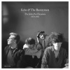 Echo & The Bunnymen - John Peel Sessi..1979-1983 / Vinyl / 2LP [2 LP]