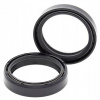 Tesniace prvky Lag Triumph Tiger 800 15-