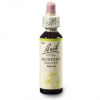 Dr. Bach Esence Mustard 20 ml