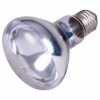 Neodymium Basking-Spot-Lamp (RP 2,10 Kč) tvar R63, ø 63 ×100 mm, výkon 35 W
