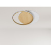 LED stropné svietidlo s diaľkovým ovládačom 60W - TB1303/GW