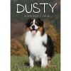 Dusty: Záchranář v nouzi