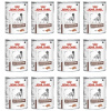 Royal Canin VHN Gastrointestinal 36x420 g