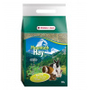 Versele Laga Mountain Hay seno pre hlodavce s lístkami mäty 500 g