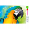 RealG RC-K-145 Diamantové maľovanie sada 5D, 20 x 30 cm, papagáj
