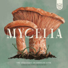 Split Stone Games Mycelia EN (Podhoubí)