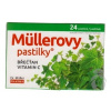 Dr.Müller Müllerovy pastilky s břečťanem 24 ks