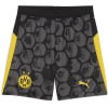Puma Borussia Dortmund Club World Cup Home Shorts 2025 2026 Adults Black/Yellow XL