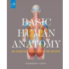 Basic Human Anatomy - Roberto Osti, Monacelli Press